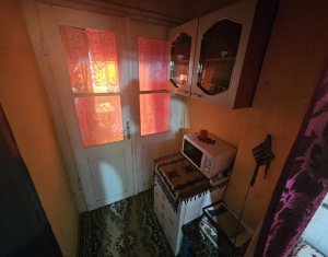 Maison 1 chambres à vendre dans Cluj-napoca, zone Marasti