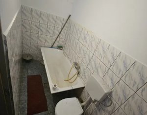 Maison 1 chambres à vendre dans Cluj-napoca, zone Marasti