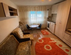 Studio à vendre dans Cluj-napoca, zone Iris