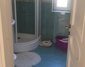 Maison 7 chambres à louer dans Cluj-napoca, zone Borhanci