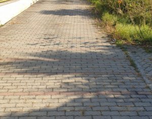 Maison 7 chambres à louer dans Cluj-napoca, zone Borhanci