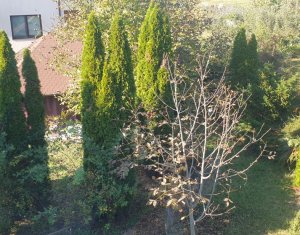 Maison 7 chambres à louer dans Cluj-napoca, zone Borhanci