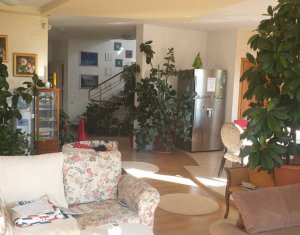 Maison 7 chambres à louer dans Cluj-napoca, zone Borhanci
