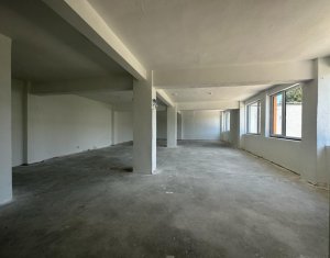 Espace Commercial à vendre, 300m2 dans Cluj-napoca, zone Iris
