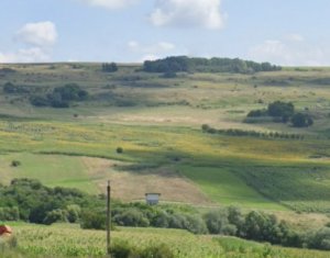 , 18300m2 dans Cluj-napoca, zone Iris