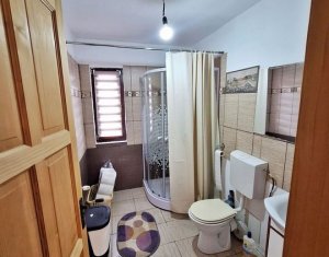 Maison 4 chambres à vendre dans Cluj-napoca, zone Borhanci