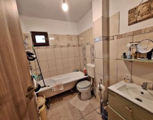 Maison 4 chambres à vendre dans Cluj-napoca, zone Borhanci