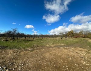 Teren Dambu Rotund 4750 mp, intravilan, UTR TDA_L, posibilitate investitie