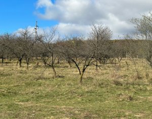 Teren Dambu Rotund 4750 mp, intravilan, UTR TDA_L, posibilitate investitie