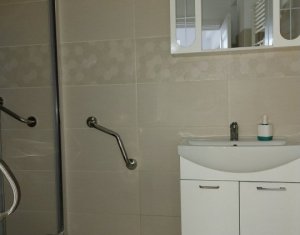 Maison 3 chambres à louer dans Cluj-napoca