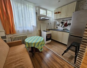 Appartement 1 chambres à louer dans Cluj-napoca