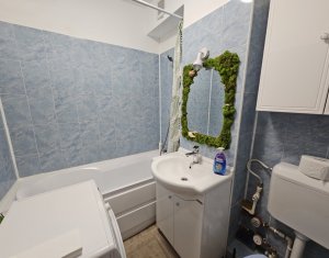 Appartement 1 chambres à louer dans Cluj-napoca