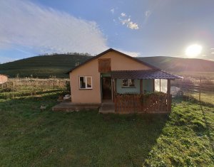 Maison 4 chambres à vendre dans Pata, zone Centru