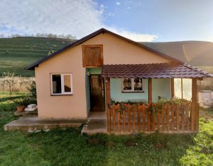 Maison 4 chambres à vendre dans Pata, zone Centru