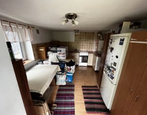 Maison 4 chambres à vendre dans Cluj-napoca, zone Andrei Muresanu