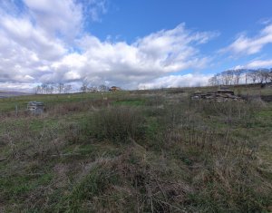 , 950m2 dans Jucu De Sus, zone Centru