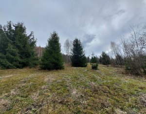 Land for sale in Valea Ierii