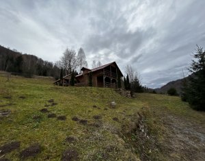 Land for sale in Valea Ierii