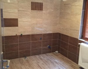 Ház 5 szobák eladó on Sannicoara