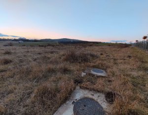 , 826m2 dans Cluj-napoca, zone Iris