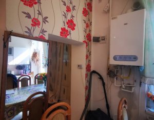 Maison 2 chambres à vendre dans Cluj-napoca, zone Gruia