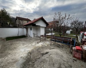 Maison 2 chambres à louer dans Cluj-napoca, zone Gruia