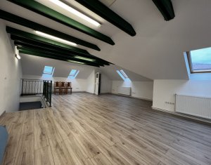 Maison 2 chambres à louer dans Cluj-napoca, zone Gruia