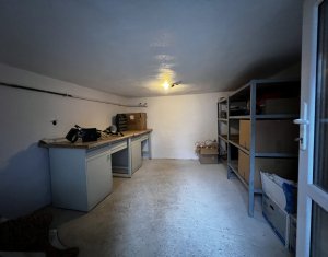 Maison 2 chambres à louer dans Cluj-napoca, zone Gruia