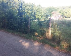 Terrain à vendre dans Cluj-napoca, zone Faget