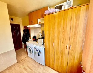 Appartement 1 chambres à vendre dans Cluj-napoca, zone Gheorgheni