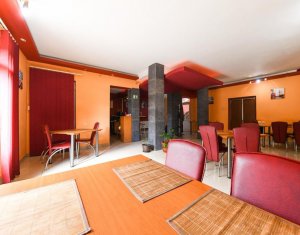 Maison 13 chambres à vendre dans Cluj-napoca, zone Gruia