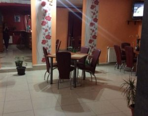 Maison 13 chambres à vendre dans Cluj-napoca, zone Gruia