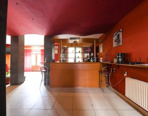 Maison 13 chambres à vendre dans Cluj-napoca, zone Gruia