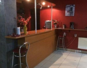 Maison 13 chambres à vendre dans Cluj-napoca, zone Gruia