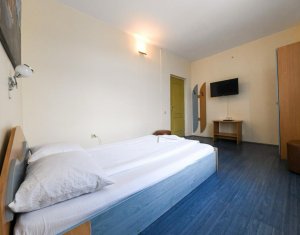 Maison 13 chambres à vendre dans Cluj-napoca, zone Gruia