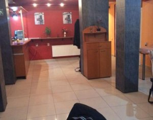 Maison 13 chambres à vendre dans Cluj-napoca, zone Gruia