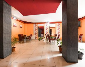 Maison 13 chambres à vendre dans Cluj-napoca, zone Gruia