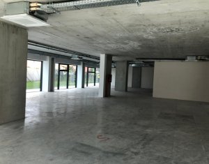 Commercial space for rent, 626.6m2 in Cluj-napoca, zone Marasti