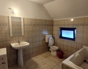 Maison 4 chambres à louer dans Cluj-napoca, zone Someseni