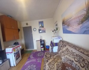 Appartement 1 chambres à vendre dans Cluj-napoca, zone Manastur