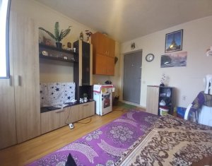 Appartement 1 chambres à vendre dans Cluj-napoca, zone Manastur