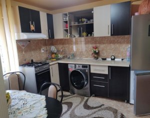 Appartement 2 chambres à louer dans Cluj-napoca