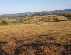 , 15000m2 dans Marisel