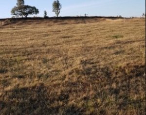 , 15000m2 dans Marisel