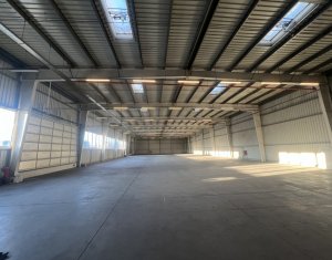Industrial space for rent in Apahida