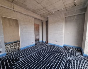 Maison 4 chambres à vendre dans Chinteni