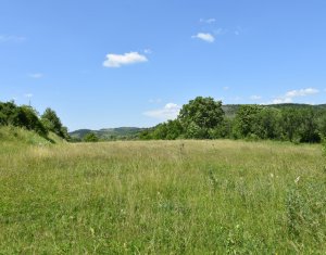 , 5800m2 dans Vultureni, zone Centru