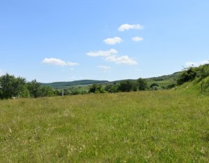 Terrain à vendre dans Vultureni, zone Centru