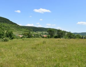 Terrain à vendre dans Vultureni, zone Centru