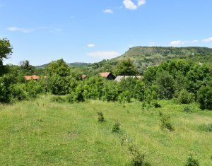 Terrain à vendre dans Vultureni, zone Centru